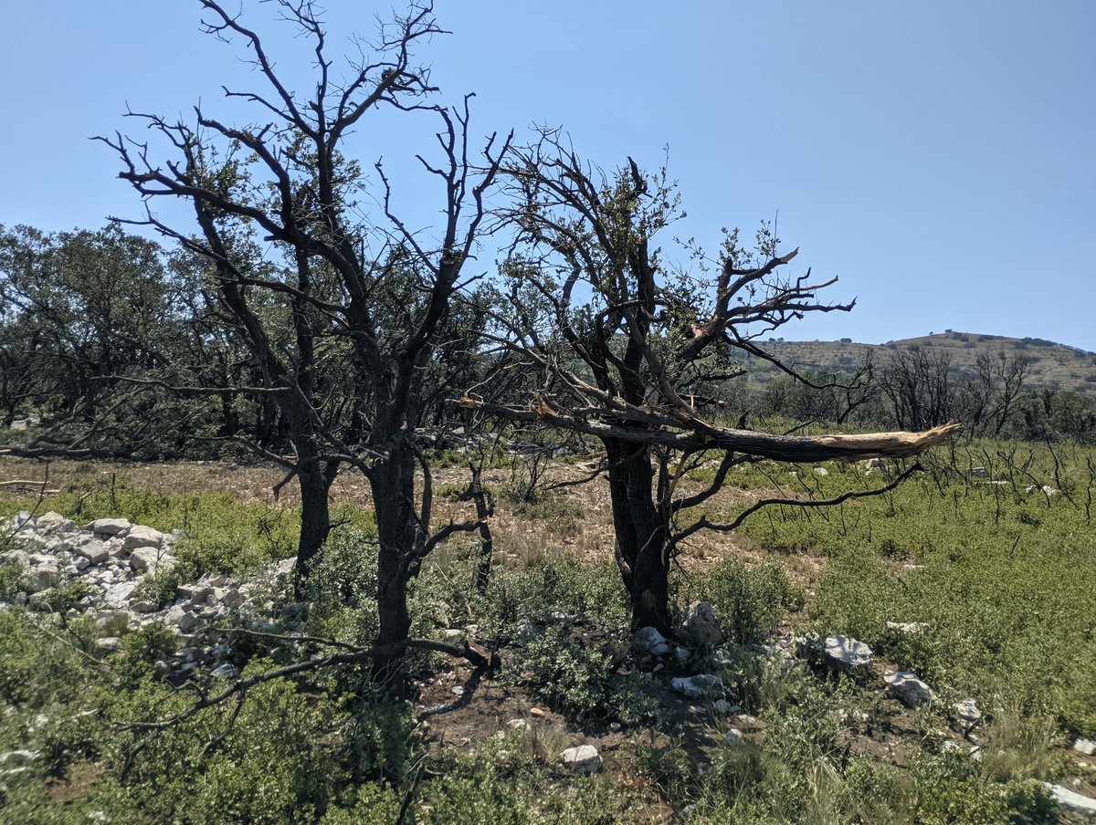 StormChasersSP's tweet photo. Sobre el terreno, analizando los daños, la trayectoria y recorrido del #Tornado de El Toro @AEMET_CValencia @avamet @Mario_72 https://t.co/VDJvhnI4t3
