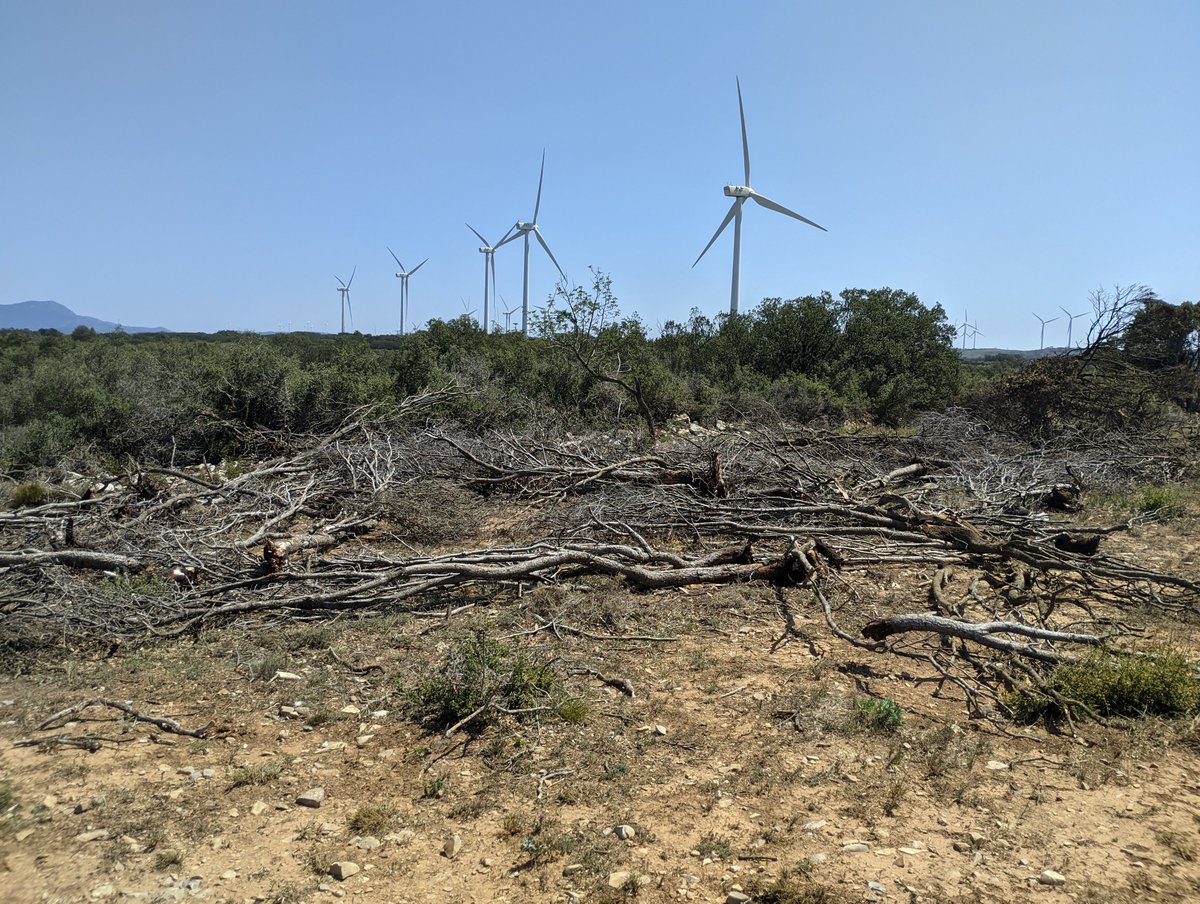 StormChasersSP's tweet photo. Sobre el terreno, analizando los daños, la trayectoria y recorrido del #Tornado de El Toro @AEMET_CValencia @avamet @Mario_72 https://t.co/VDJvhnI4t3