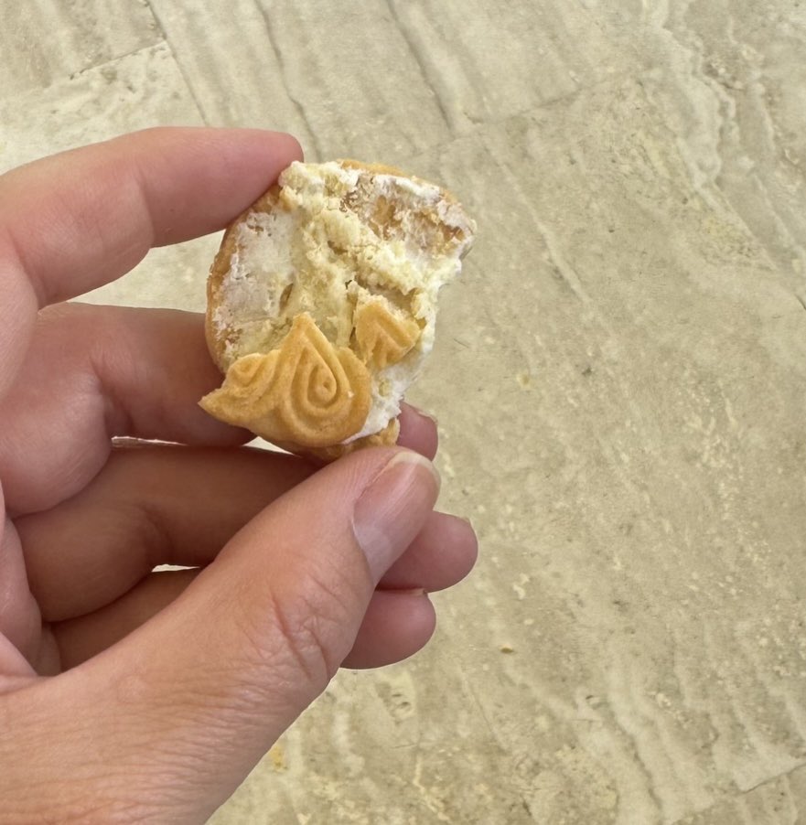 Oğlumdan bir tane bisküvi istedim, elindekinin yarısını yiyip kremasını yaladıktan sonra kalanı
bana verdi, yaşlanınca sırtım yere gelmez 😂