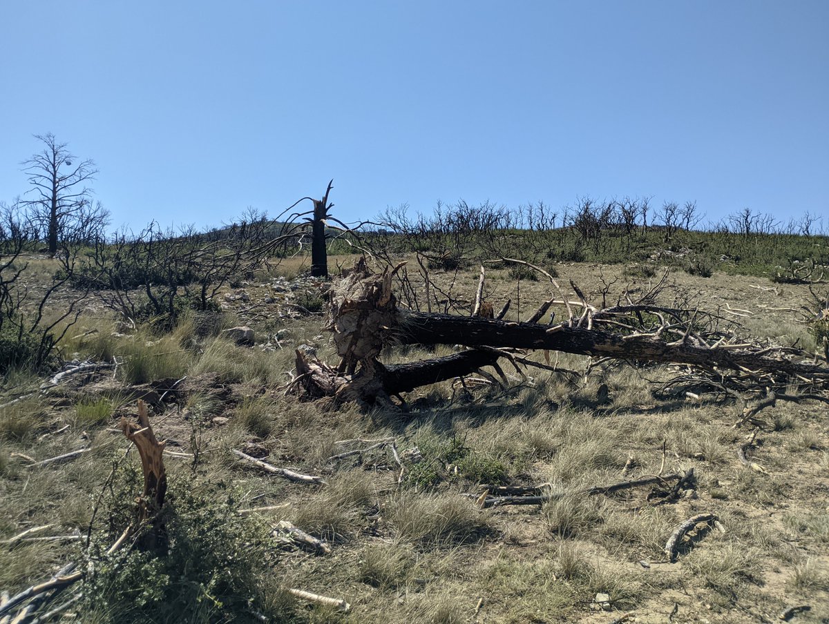 StormChasersSP's tweet photo. Sobre el terreno, analizando los daños, la trayectoria y recorrido del #Tornado de El Toro @AEMET_CValencia @avamet @Mario_72 https://t.co/VDJvhnI4t3