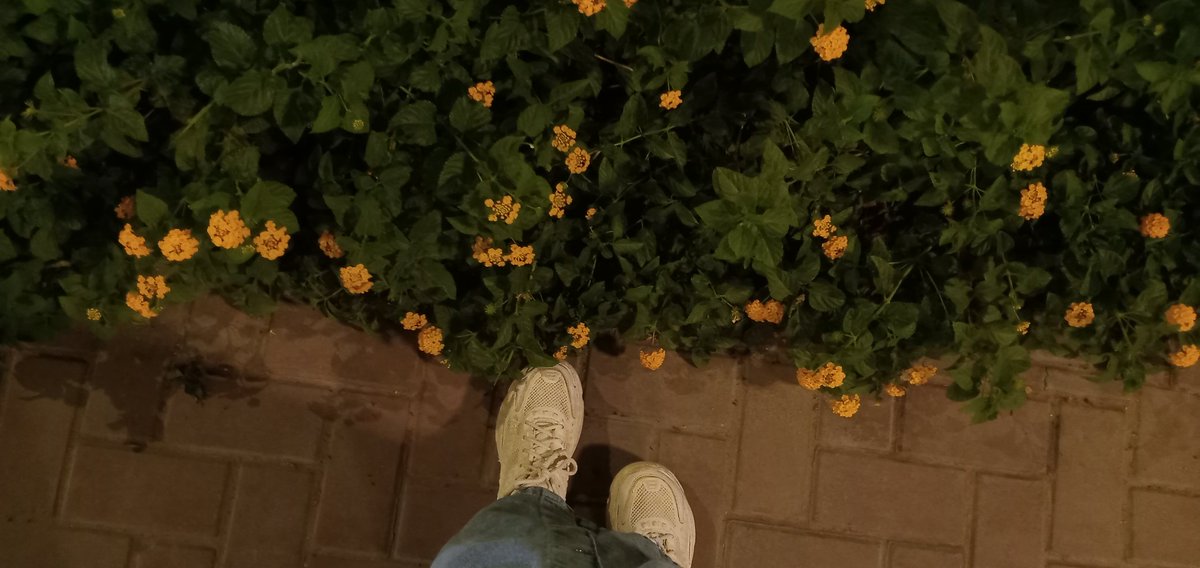 WardDiab10's tweet photo. 🤎^ https://t.co/uuvqeHKdYu