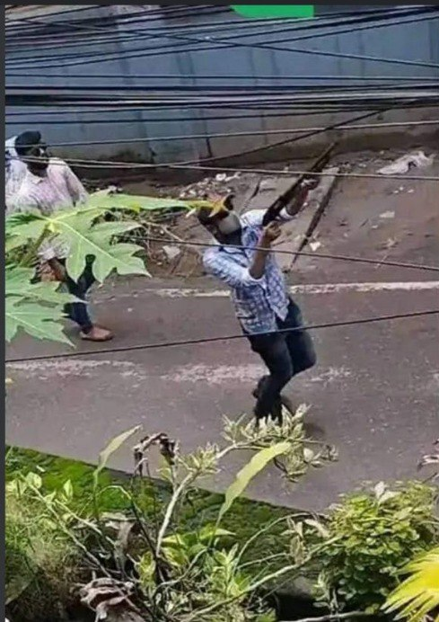 drkarimbd's tweet photo. A Chhatra League terrorist opened fire at protesters in Comilla. https://t.co/f4hW2HOpqO