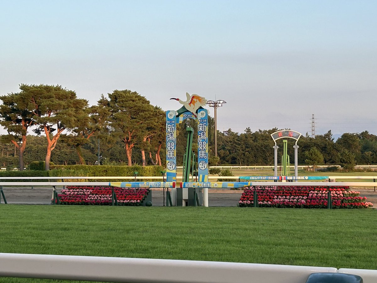 東京トゥインクルファンファーレ tweet media