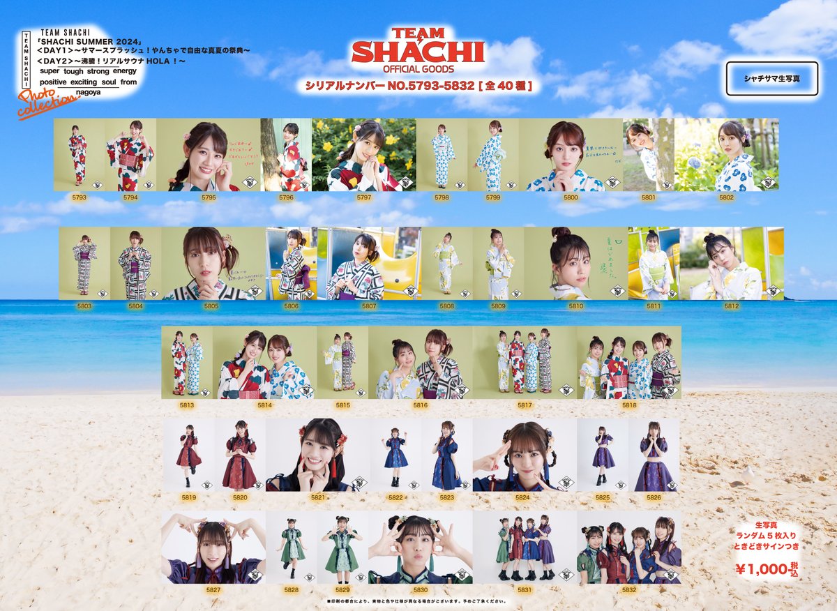 TEAM SHACHI（チームシャチ） on X