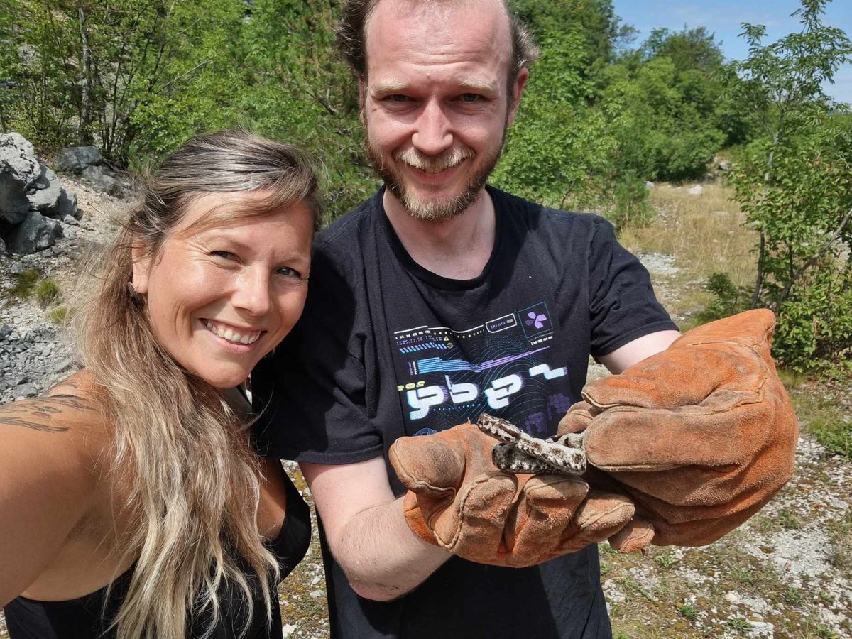 Thoboying tweet media