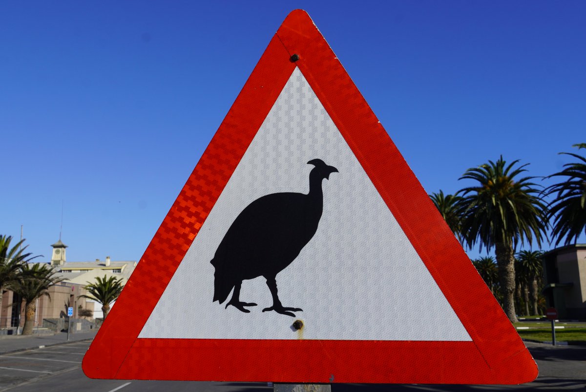 Non_Fung_Travel's tweet photo. Watch out! #Namibia 🇳🇦 https://t.co/eZVkTMiqs3