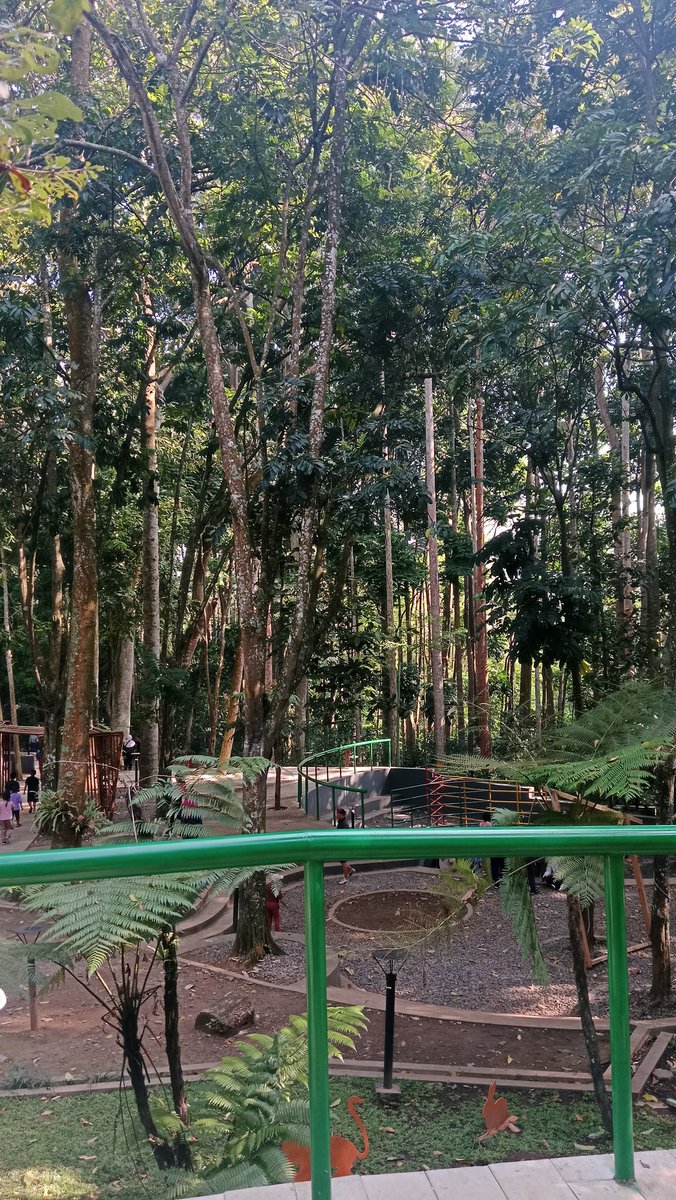 Udah mau seminggu yang lalu aja kesini 🥹