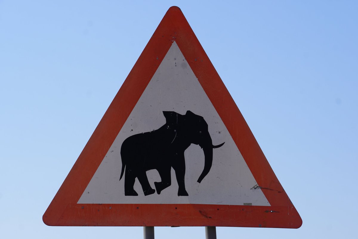 Non_Fung_Travel's tweet photo. Watch out! #Namibia 🇳🇦 https://t.co/eZVkTMiqs3
