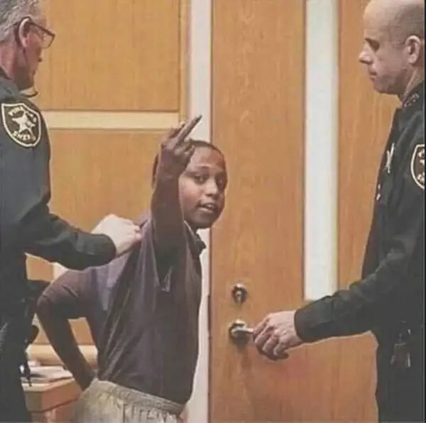 METAPHYSICS tweet media