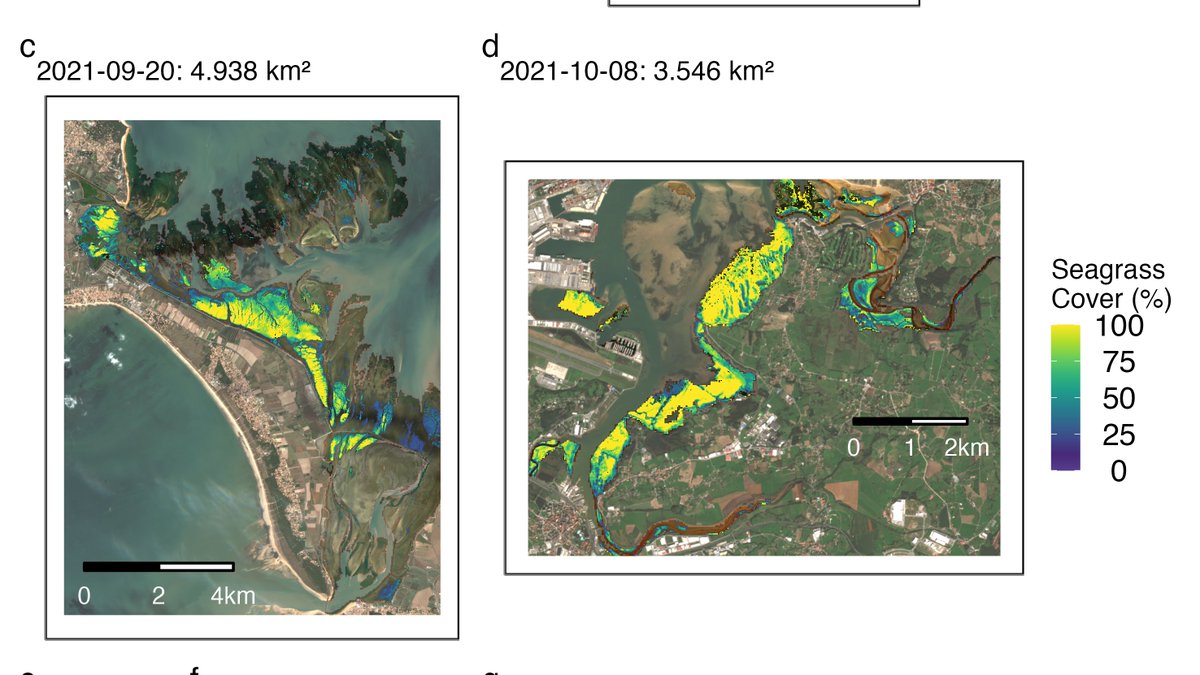 Dr. Bede Ffinian Rowe Davies tweet media