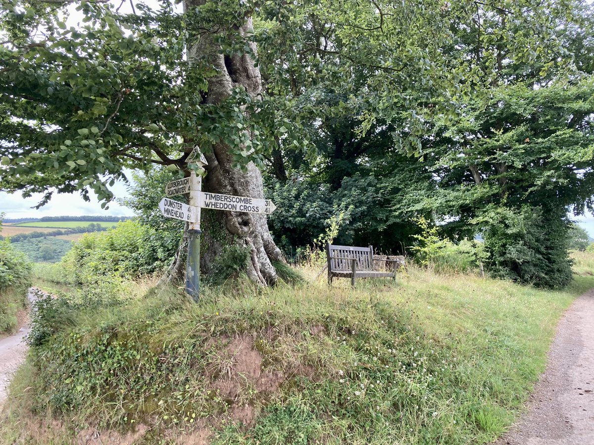 ExmoorNPCs's tweet photo. 7.8 mile circular walk from Timberscombe taking in the lost village of Clicket, the junction at Beech Tree, Couple Cross and Slade Lane. #Exmoor @ExmoorNP @Timberscombe_V @GetOutsideSom @visitexmoor @ExmoorSociety @ExmoorMagazine @GreatHangman @ExmoorPaths @Travellowdown https://t.co/tjgwgKZRlf