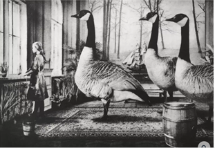 Andrew Clover tweet media