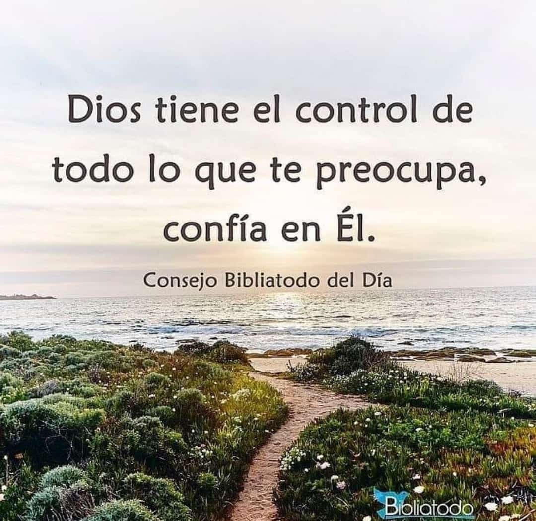 yacharrisb's tweet photo. Señor, que tu amor nos llene y nos haga vivir con la mejor actitud. Gracias por permitirnos ver el resultado de todos nuestros esfuerzos, sabemos que llegaremos a la meta con tú ayuda. Sigue dándonos vida y salud para llevar a cabo todo lo que soñamos. Te entrego mi vida Señor. https://t.co/fZ2zldMwuo