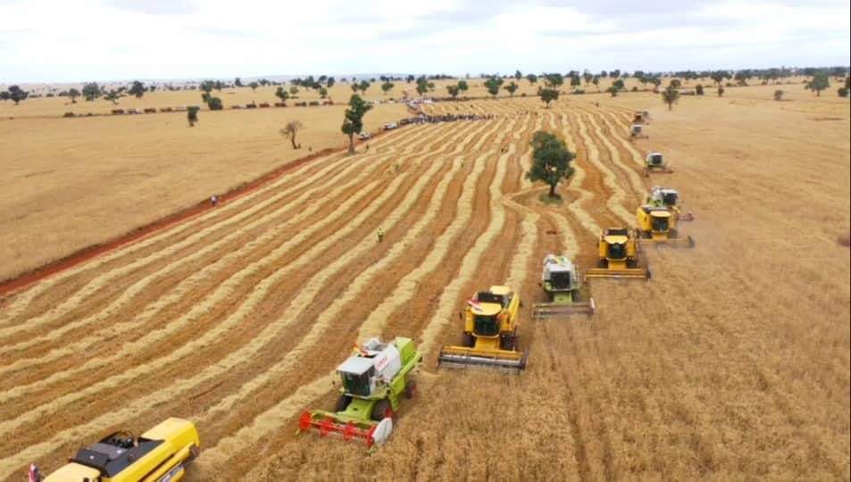 ebczena's tweet photo. Seeing the #Borena area, which was hit by famine a year ago, now with an abundance of #wheat_production, shows that our hope is real. If we work hard, we can change our country and ensure food sovereignty. #AbiyAhmed (dr) https://t.co/ItrgFp1r6P