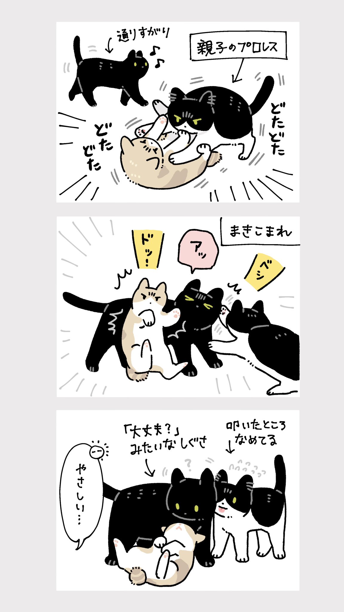 猫はかっておりません The cat who decided not to 