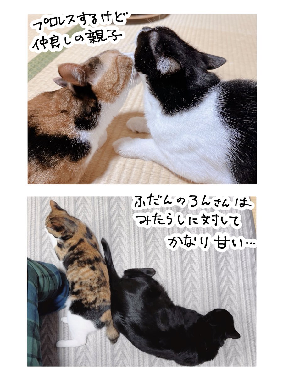 続き(2/2) 