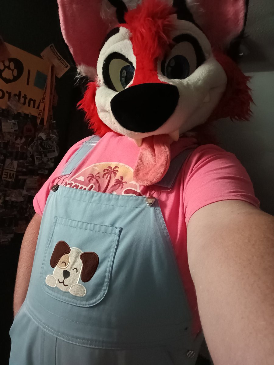 LittleRedAB's tweet image. Got myself dressed for the day. The clips were tricky to do on my shortalls, but I got them figured out. Feel very cute in this outfit ☺️