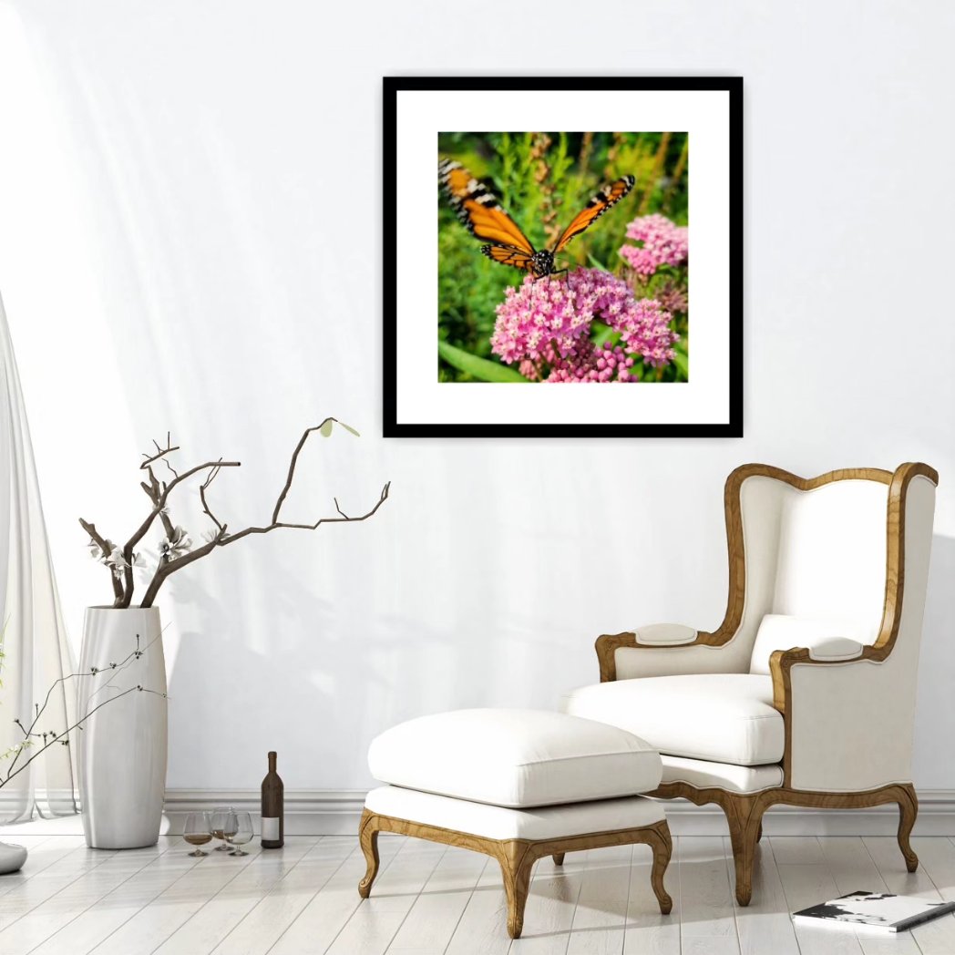junekrisko's tweet image. Monarch butterfly on milkweed flowers in our garden.🦋
#FrameItFriday
.
.
.
#HaliburtonOntario #MyHaliburton #MyHaliburtonHighlands #HaliburtonHighlands #OnHighlands #JuneKriskoArtist #JuneKriskoPhotography #MonarchButterfly #MilkweedFlowers