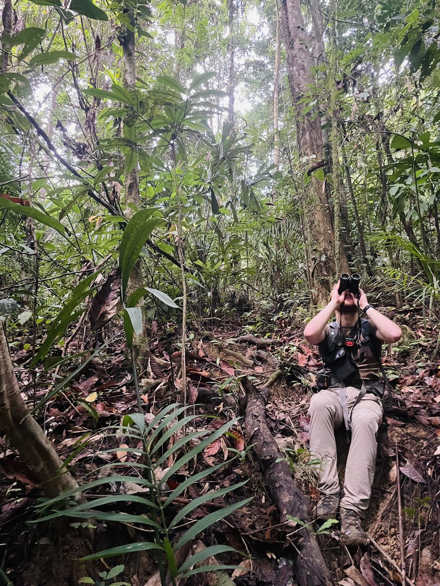 Ms Harris tweet media