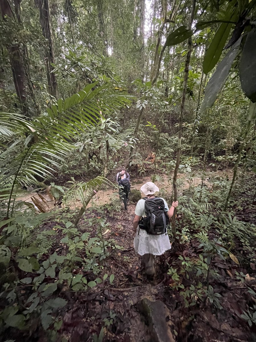 Ms Harris tweet media