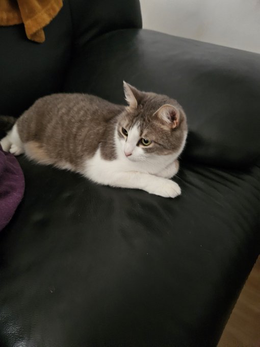 La criminou https://t.co/NN1HL41Bvr<a href="/tag/stripchat"class="tags"><span>#stripchat</span></a><a href="/tag/stripchatlive"class="tags"><span>#stripchatlive</span></a>