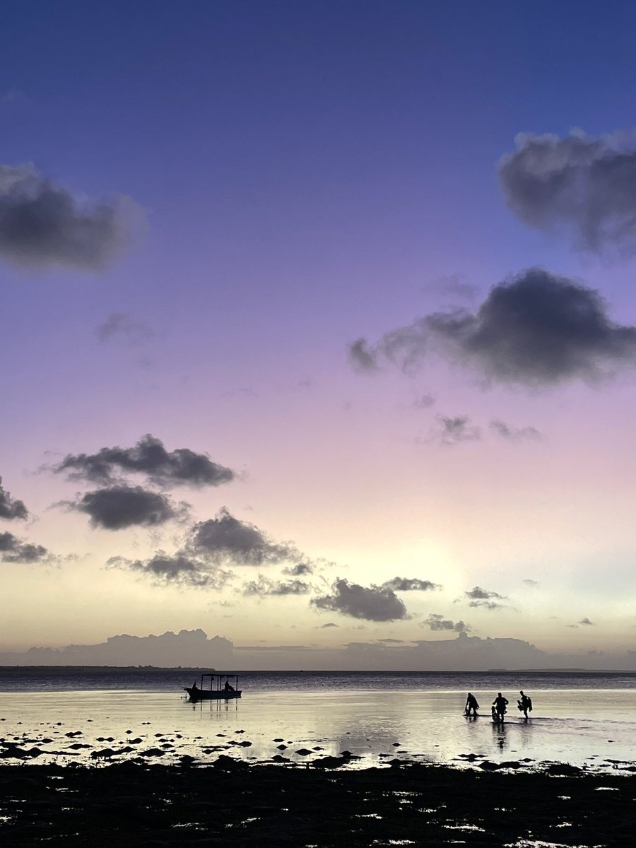 Ms Harris tweet media