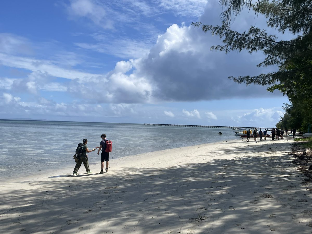 And a few photos from the marine ecology week on Hoga Island 🏝️ <a href="/DGSSciCollege/">DGS Science College</a> <a href="/DGS6thform/">DGS 6th Form</a>
