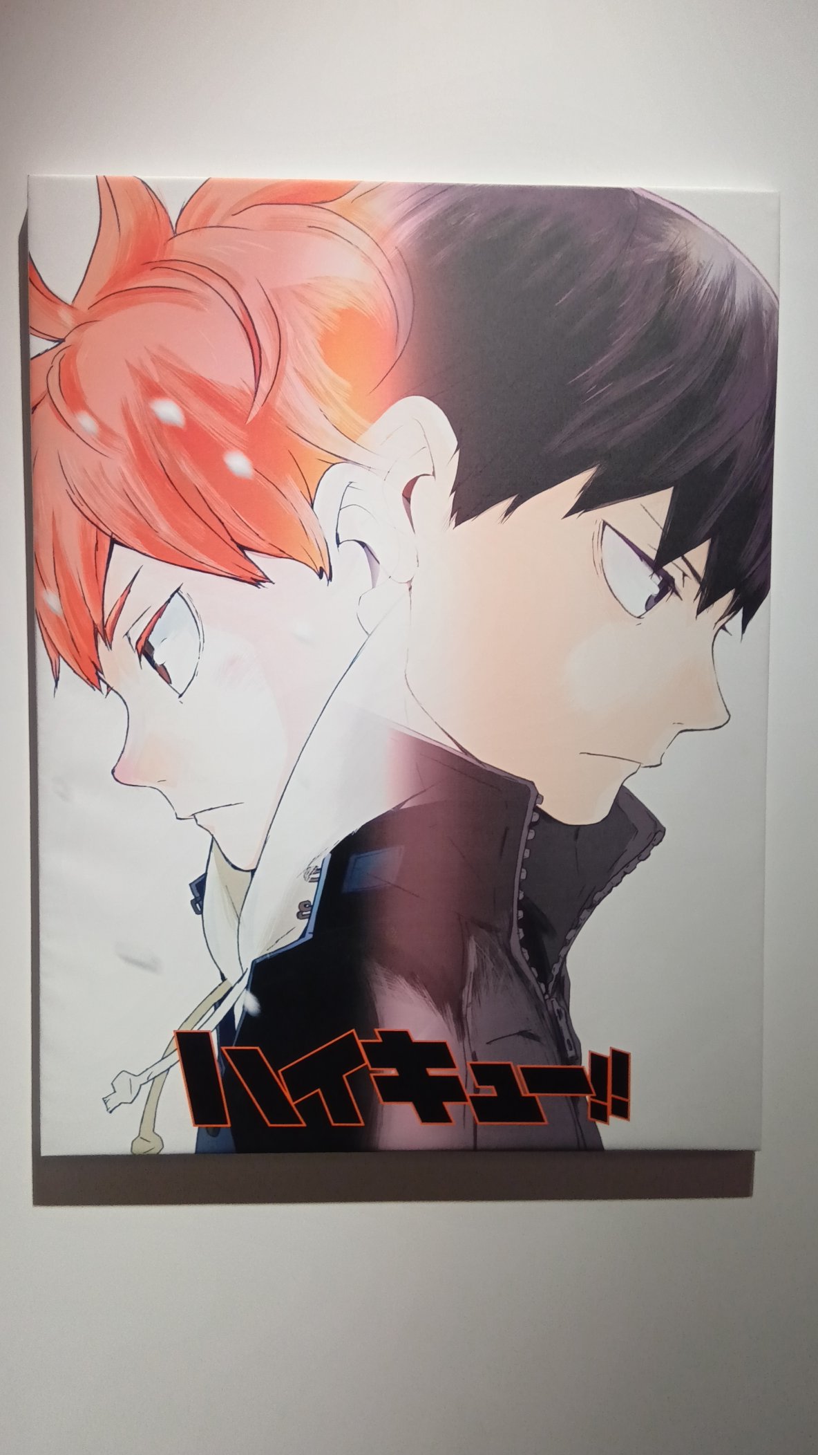 月島蛍 Memories 10点 月島蛍 Memories 10点 月島蛍 Memories 10点