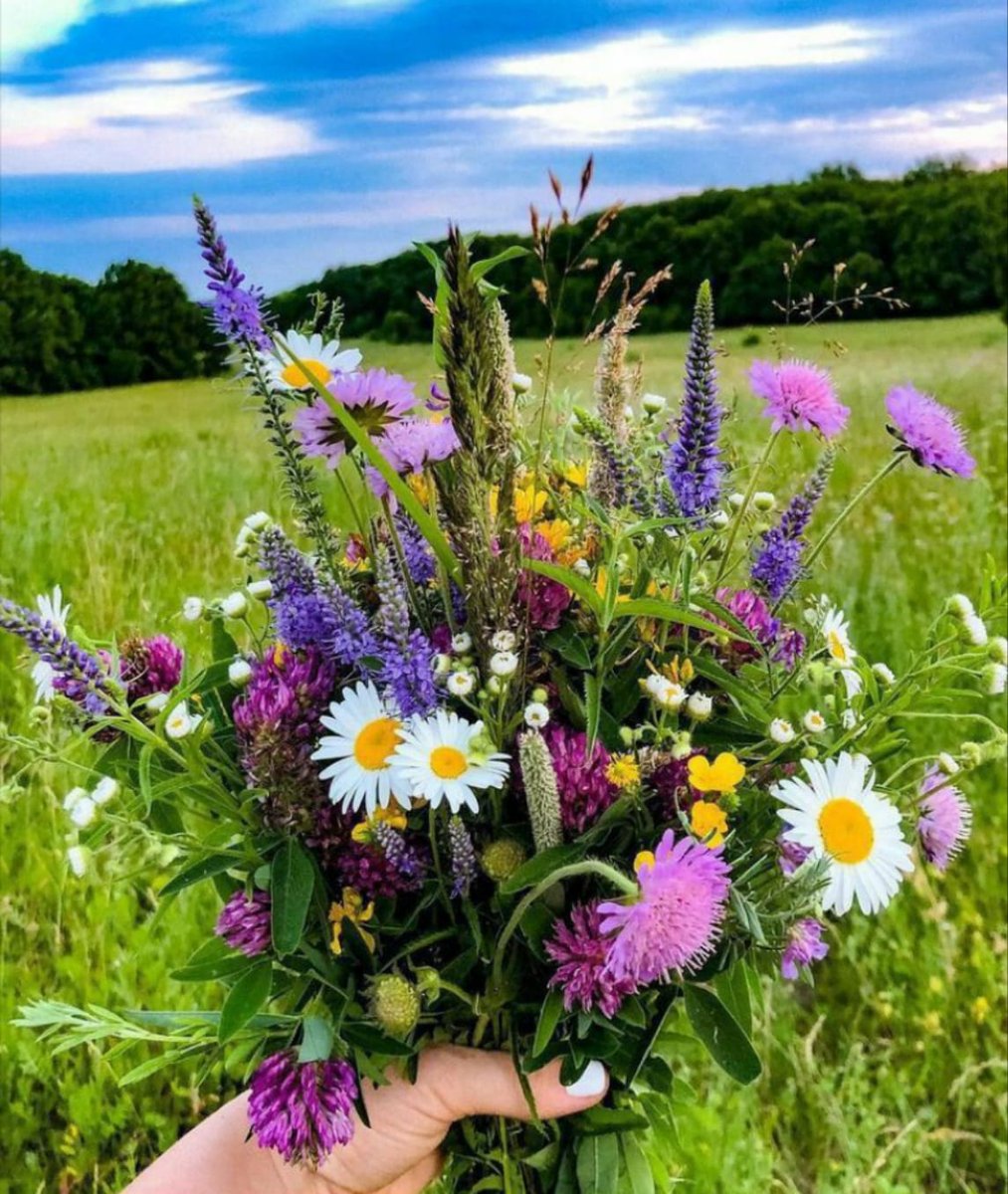 podkarpatka's tweet photo. Trzeba zbadać "stare" kości
Na badanie udać się
Dzisiaj #witam Was i #żegnam
Od poniedziałku nie widzimy się
Na jak długo?
Któż to wie...
Tydzień... może dwa...
Zobaczymy...
Na niedzielę i cały tydzień życzę Wam wszystkiego co dobre i miłe, co szczęściem napełnia chwilę!
Paaa https://t.co/T7ztFxSGmj