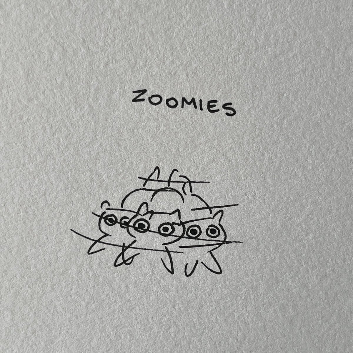 the cat olympics #Olympics