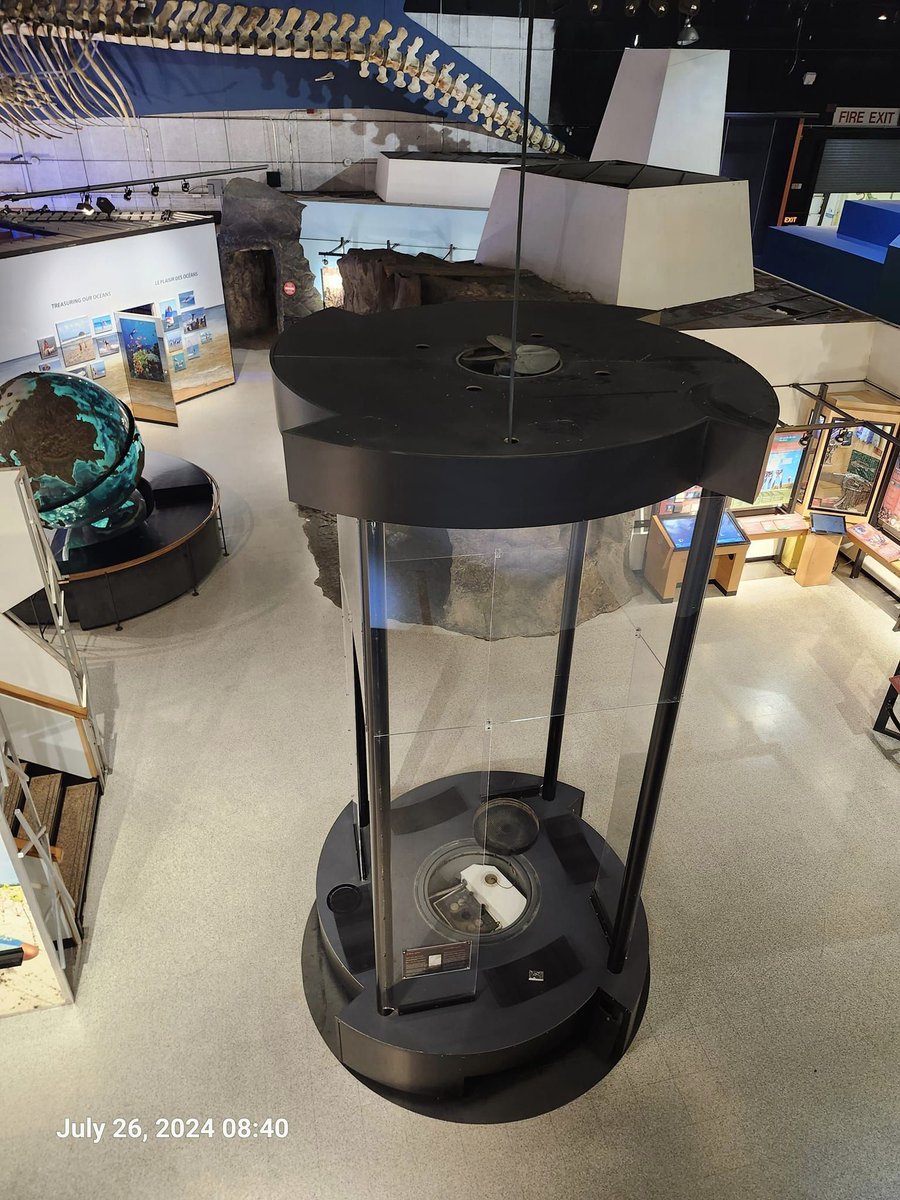 Floyd Ruskin @dontrailtalkerTO tweet media