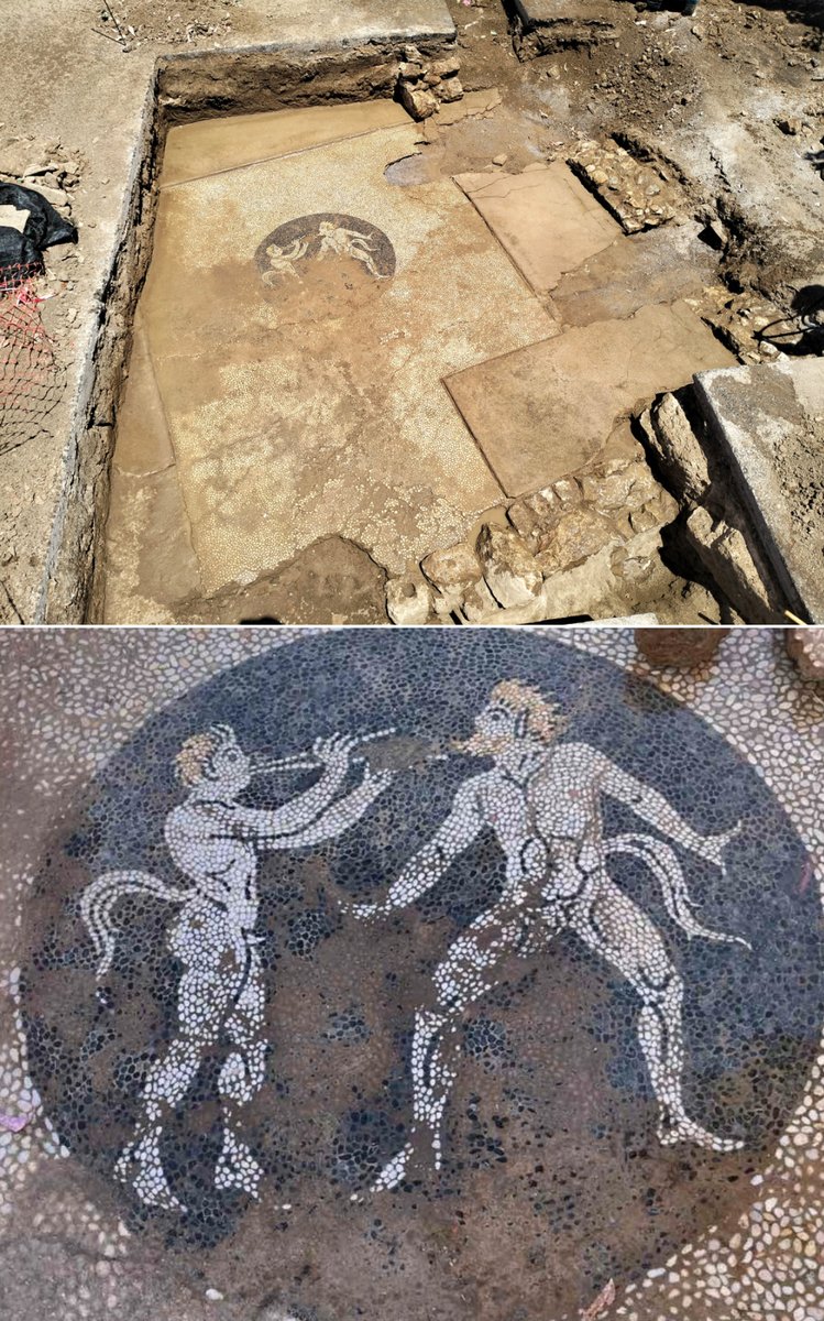 Alexia Kefalas (@alexiakefalas) on Twitter photo Les archéologues grecs ont découvert sur l’île d’Eubée, un sol en mosaïque de galets avec une représentation de deux Satyres. Estimation: période classique tardive (milieu du IVe siècle avant JC). #Grèce #Eretrie #Greece <a href="/cultureGR/">Υπουργείο Πολιτισμού</a> Les archéologues grecs ont découvert sur l’île d’Eubée, un sol en mosaïque de galets avec une représentation de deux Satyres. Estimation: période classique tardive (milieu du IVe siècle avant JC). #Grèce #Eretrie #Greece <a href="/cultureGR/">Υπουργείο Πολιτισμού</a>