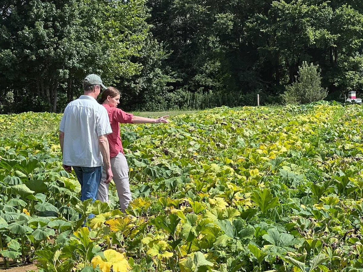 MSU Extension tweet media