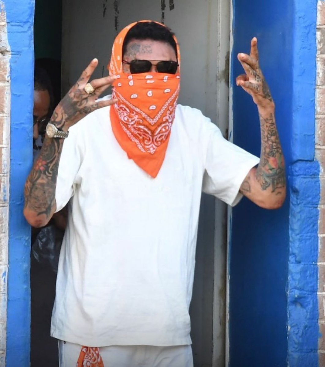 KamosheKe's tweet image. Ghetto yut yuh no dawg, yuh are king
Thou shalt not be afraid
Get it ina yuh skull
#FirstWeekOut