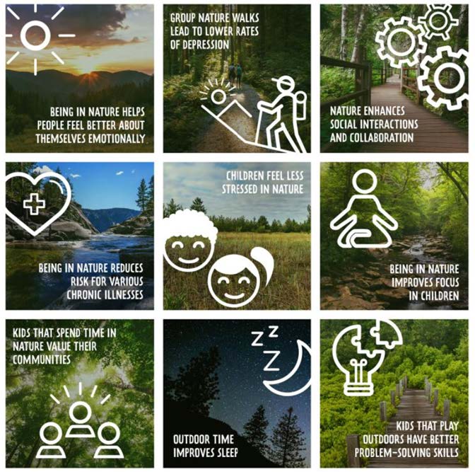 Happy National Play Outside Day! There are many benefits that nature has to offer, and here are just a few. Did you know that even just a small walk in the forest can decrease cortisol levels(the stress hormone)?