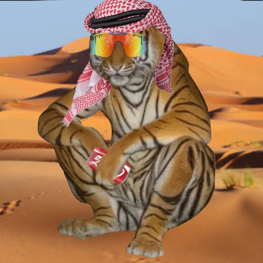 Sellers are out of tokens Habibi now time to stable $usdt