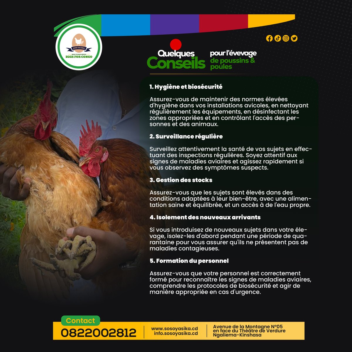 Eggsforcongo's tweet photo. Quelques conseils pour l'élevage de poussin et poules
#sosoyasika
#elevage https://t.co/bVJbd51nZP