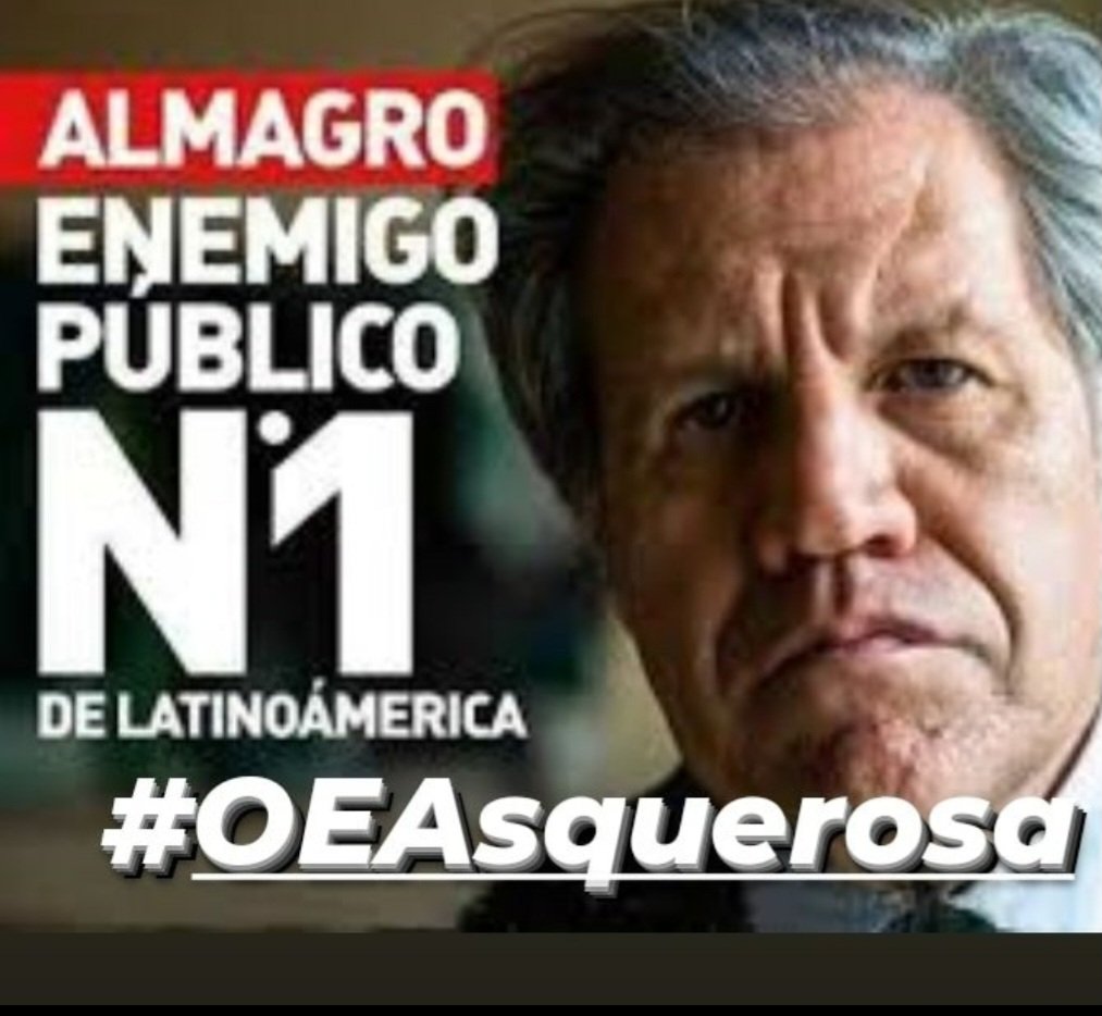 Vicente Leal 🇨🇺🇨🇺🇨🇺🇨🇺🇨🇺🇨🇺 tweet media