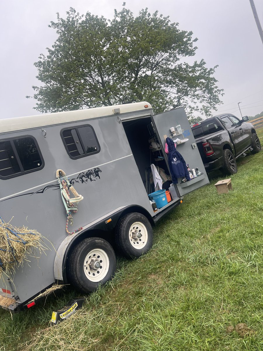 THEVectoriousB's tweet image. A little 4H action today.

#horselife #love #dodge #4H #GraphicDesigner #teamUSA