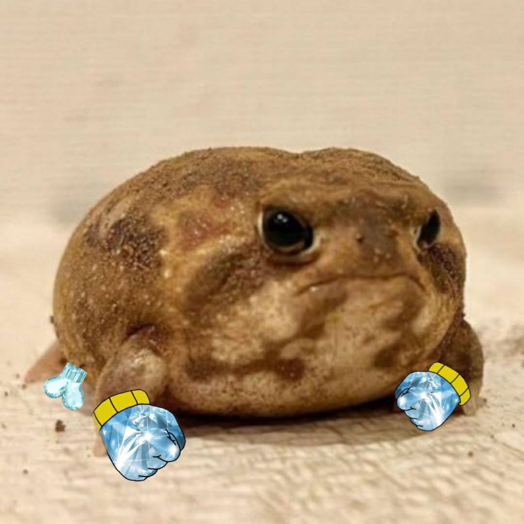 gubhasnewone's tweet photo. @TheMisterFrog $GUB is a fan too.

Hf7AxnYpaaXHEw9CSE8A4BvDytVdUmETgyU9JzJrKguH

https://t.co/qAnq1KomTX https://t.co/YLRZR2WoTB