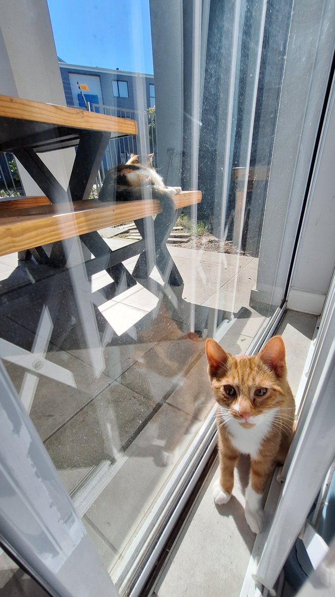 Cthulouw tweet media