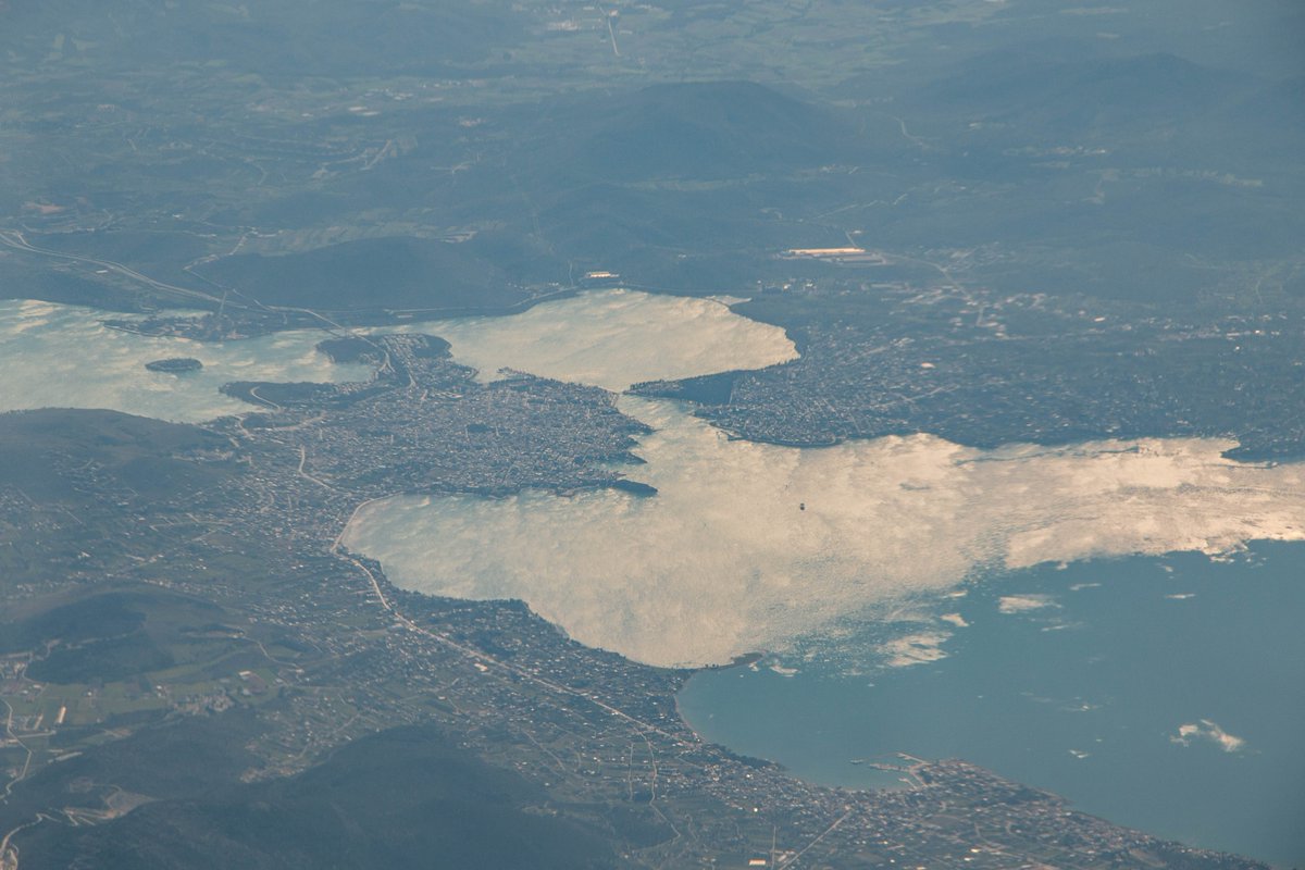 Adrian Golemis tweet media