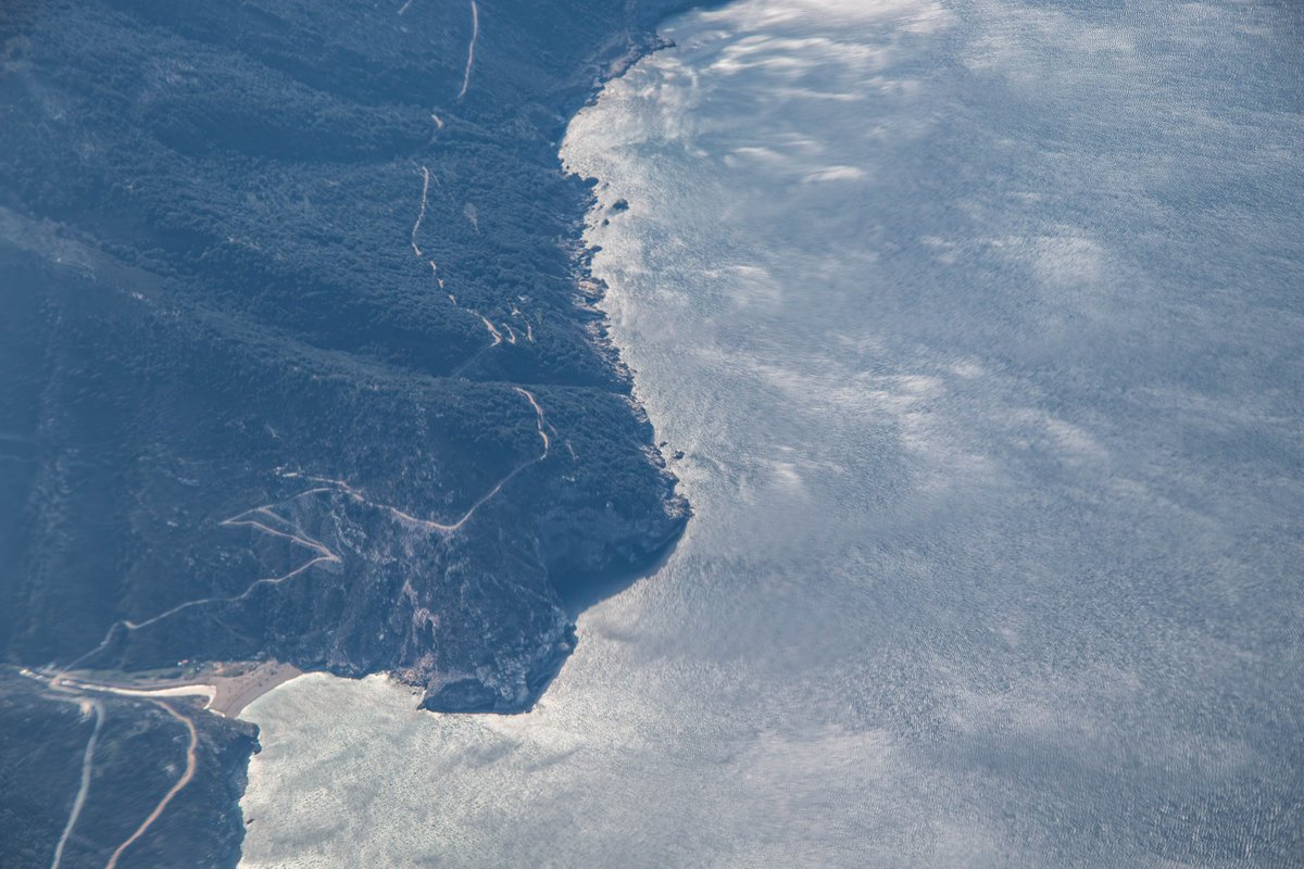 Adrian Golemis tweet media