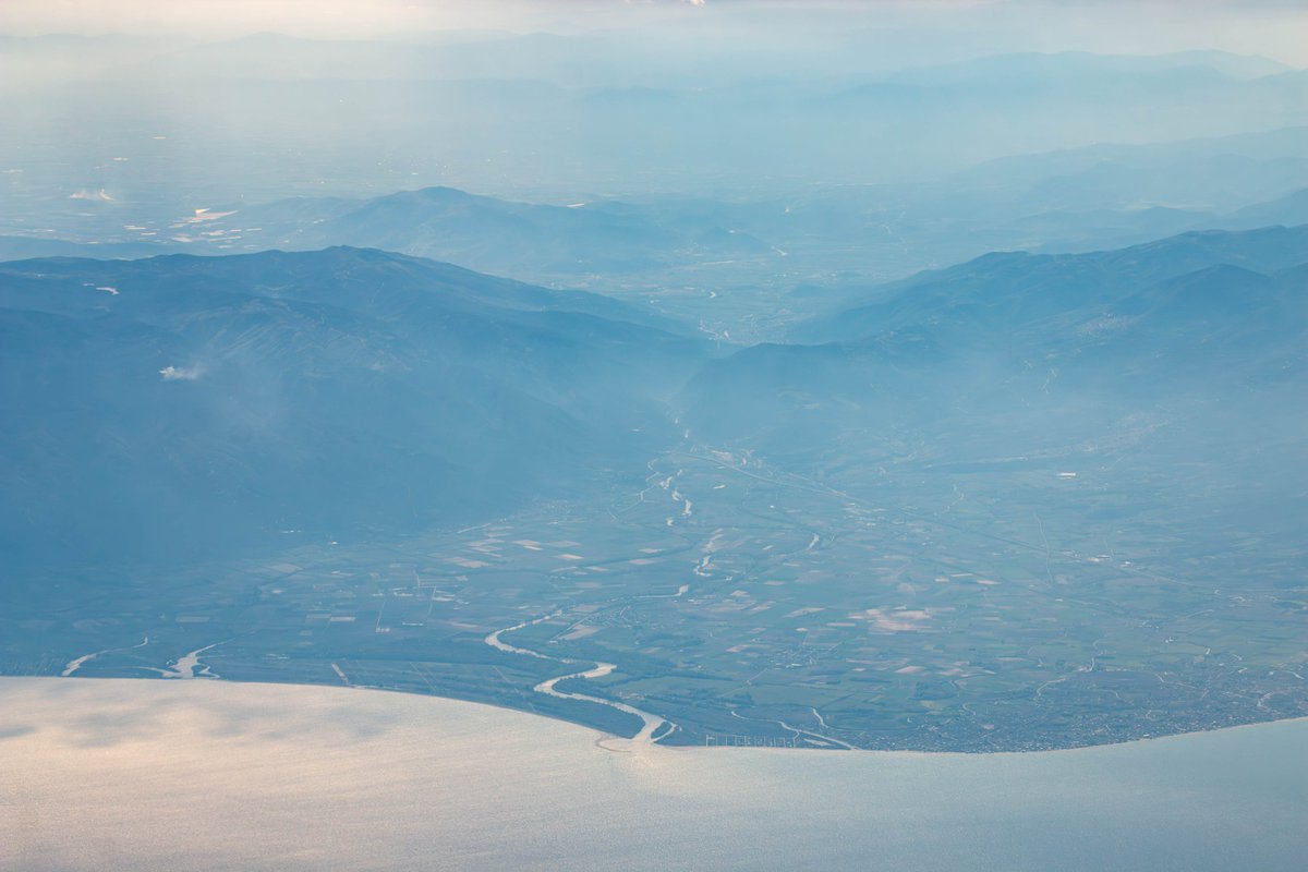 Adrian Golemis tweet media