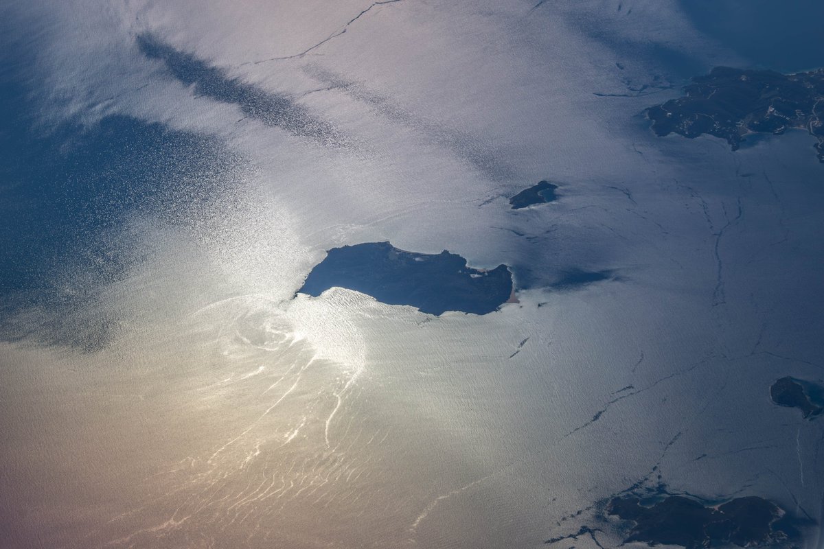 Adrian Golemis tweet media