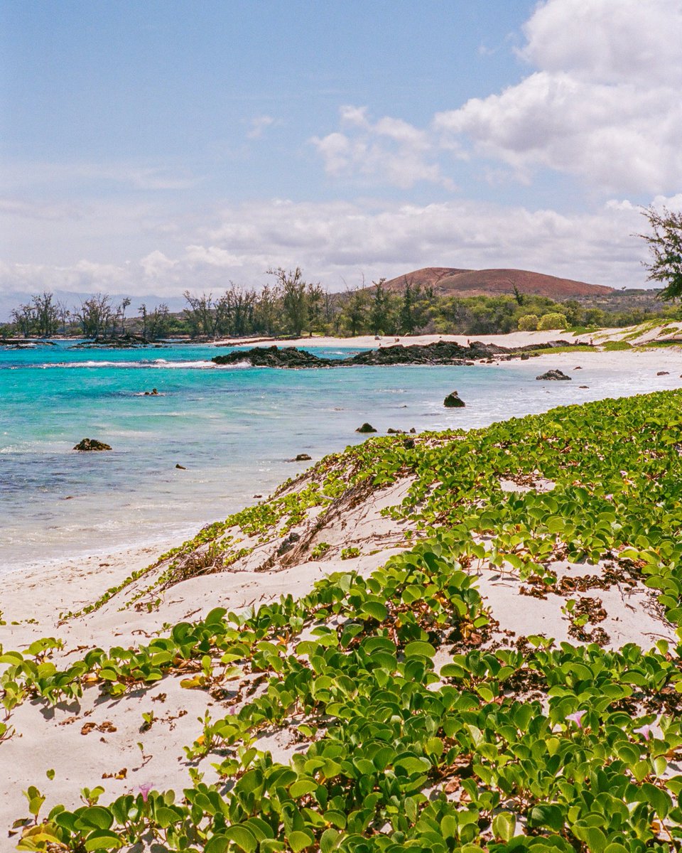 Paul Jun tweet media