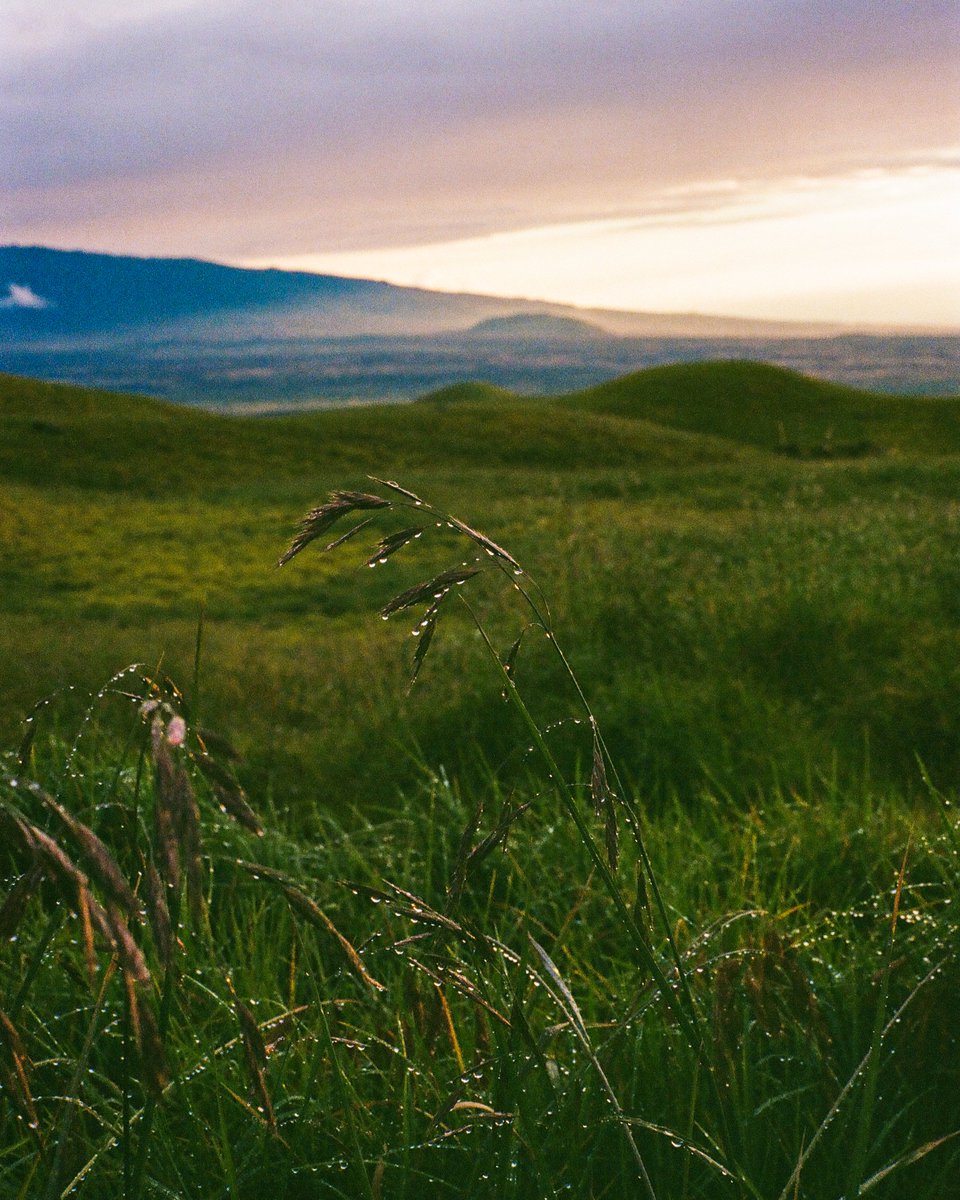 Paul Jun tweet media