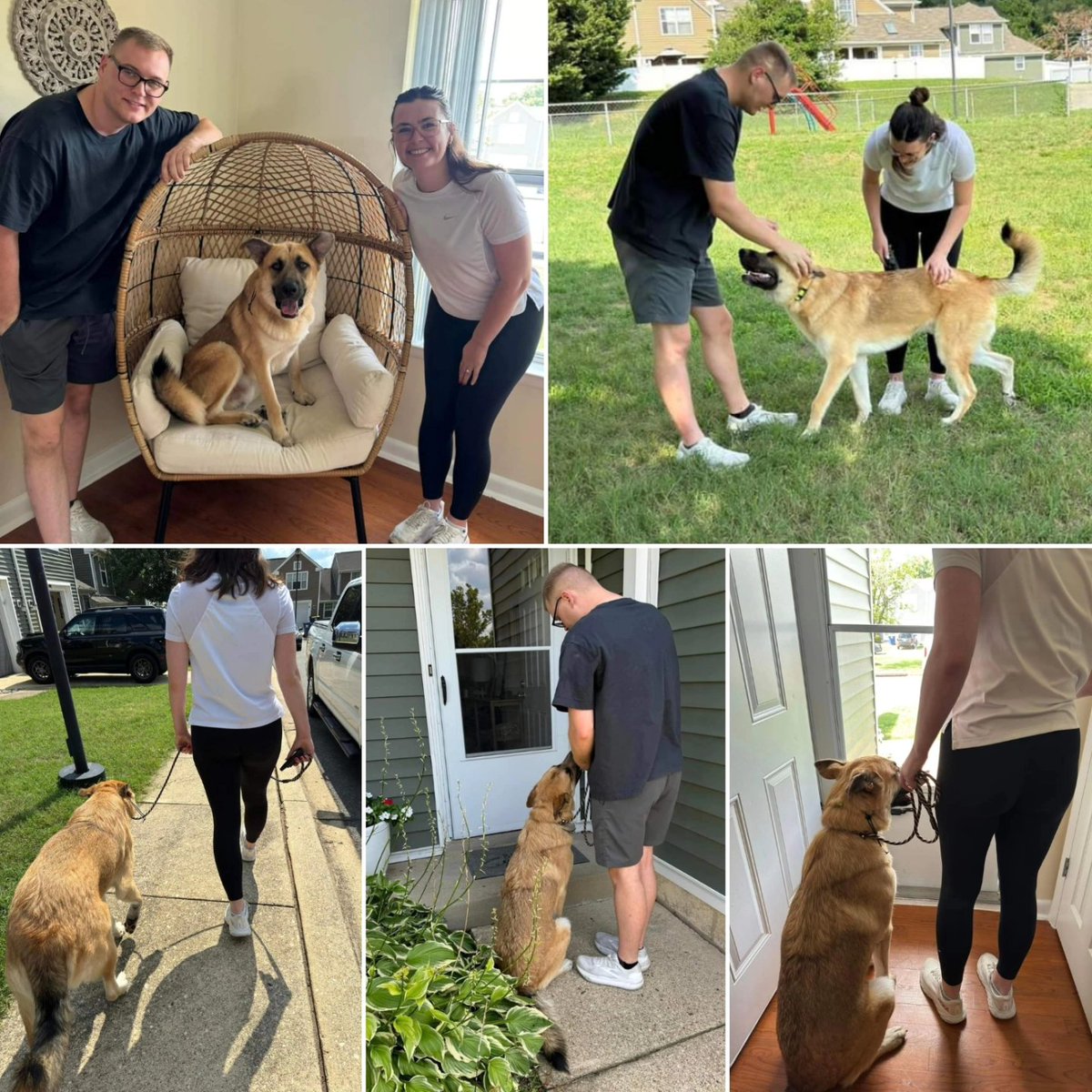 Ridgeside K9, LLC tweet media