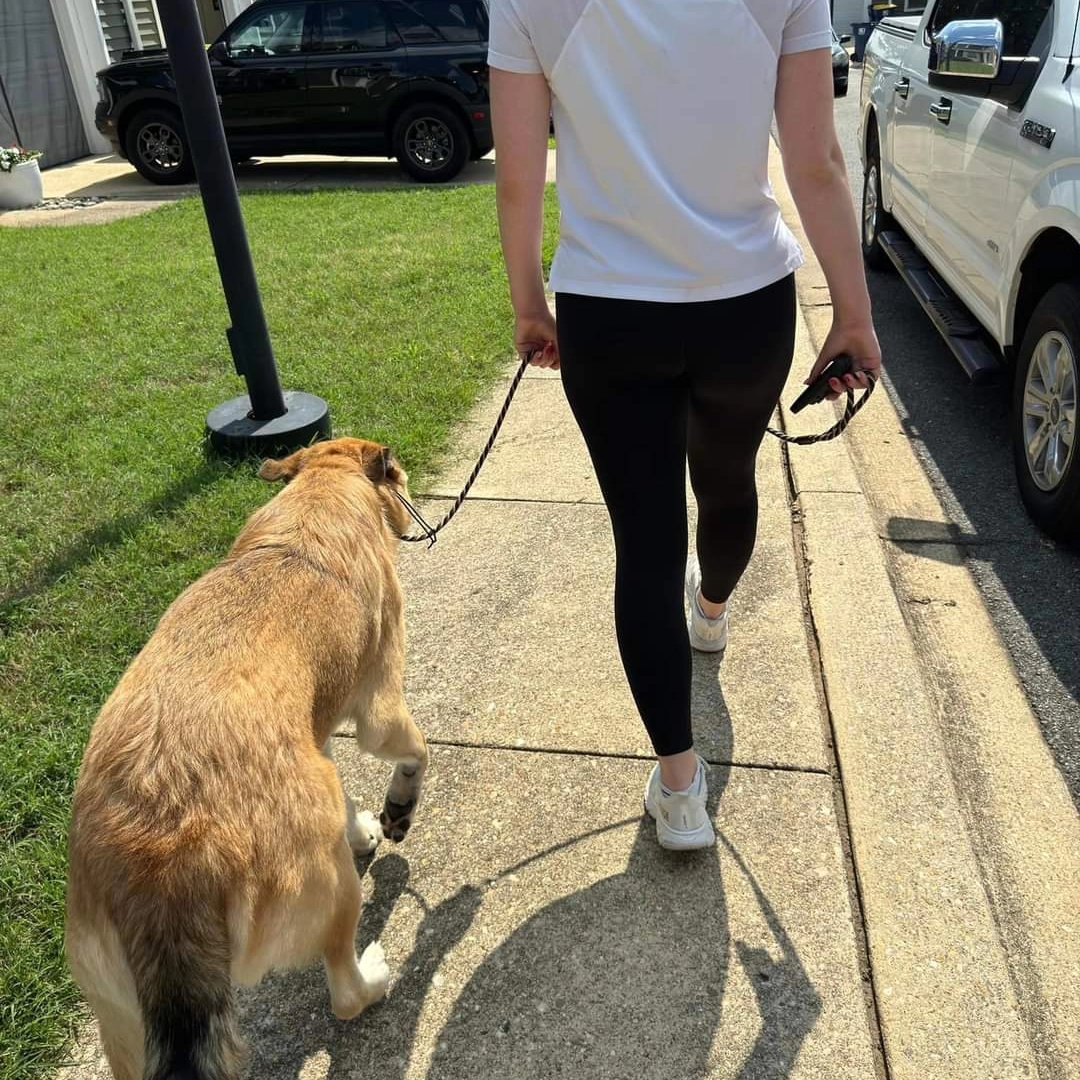 Ridgeside K9, LLC tweet media