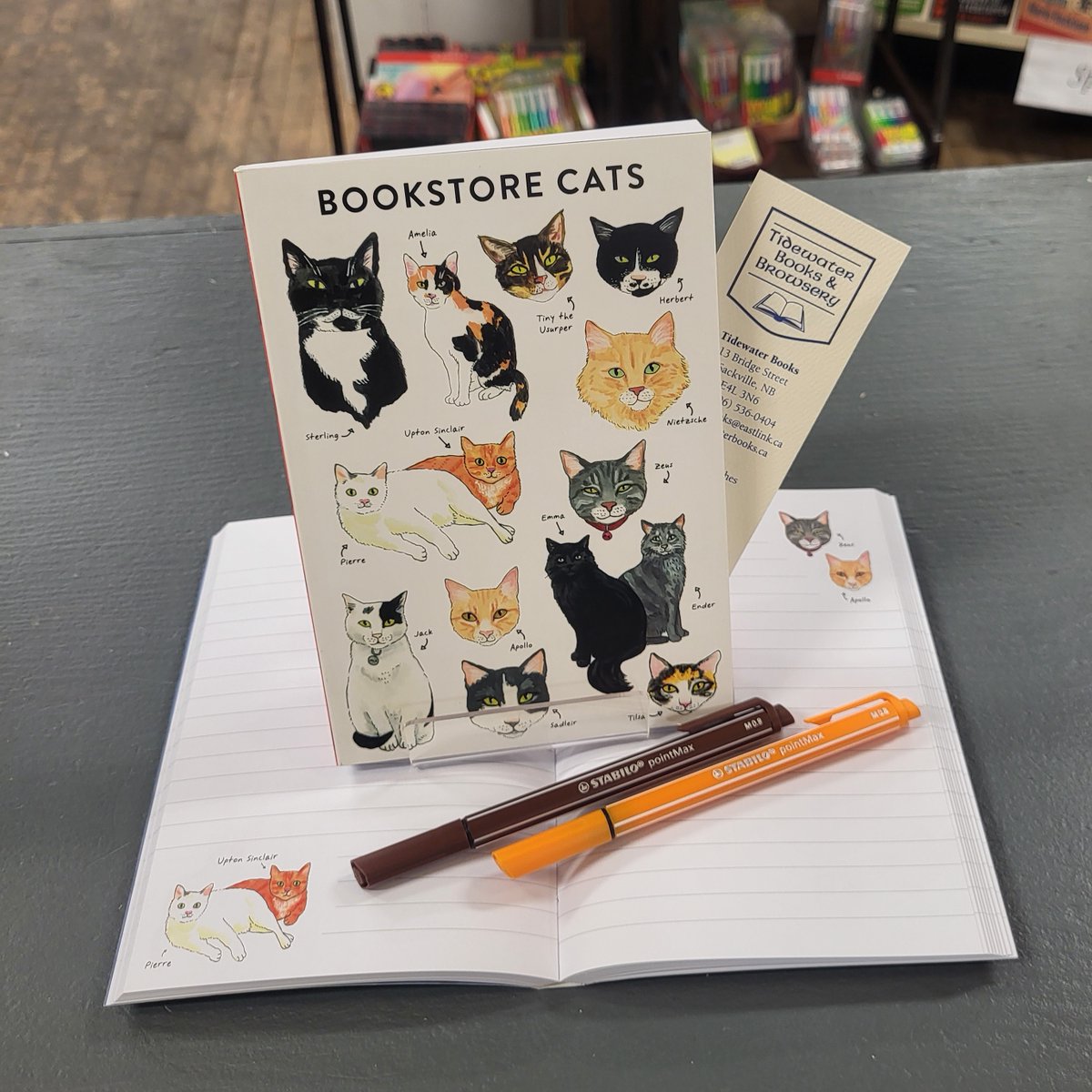 Tidewater_Books's tweet photo. A #Carurday journal purrrfect for us & you! 'Bookstore cats' is in-store now!ππ±ππββ¬
Visit us in person or online at https://t.co/WtFcBxbts9! ππ¨π¦π
#IndieBookstoreCA #ShopSmall #ThankYouForShopingLocal @ChronicleBooks https://t.co/XaDeGwlrqw